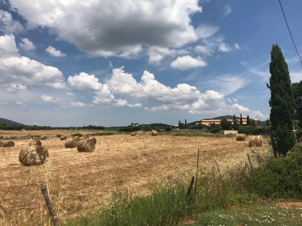 Agriturismo Colle D' Oro เปชชาโรมานา ภายนอก รูปภาพ